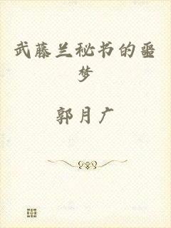 武藤兰秘书的噩梦