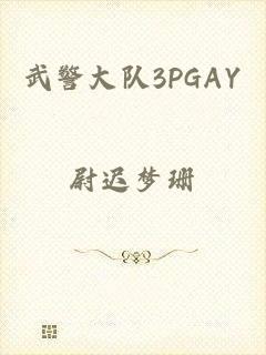 武警大队3PGAY