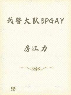 武警大队3PGAY