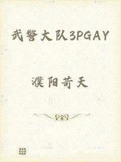 武警大队3PGAY