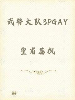 武警大队3PGAY