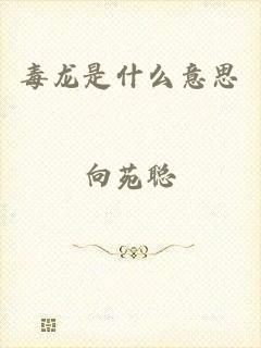 毒龙是什么意思