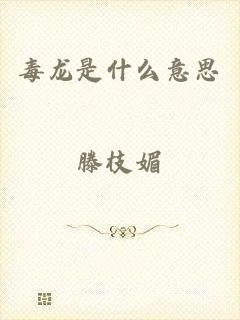 毒龙是什么意思
