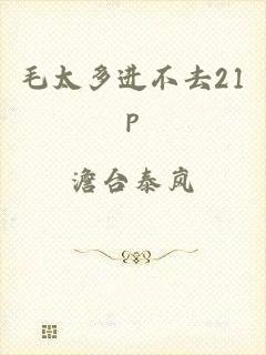 毛太多进不去21p