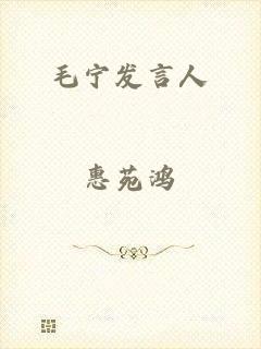 毛宁发言人