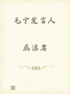 毛宁发言人