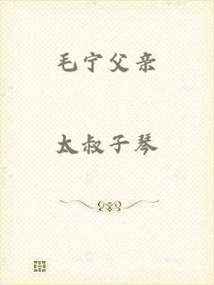 毛宁父亲
