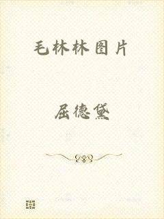 毛林林图片