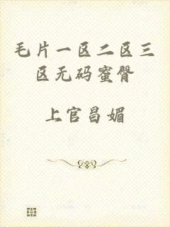 毛片一区二区三区无码蜜臀