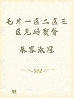 毛片一区二区三区无码蜜臀