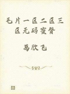 毛片一区二区三区无码蜜臀