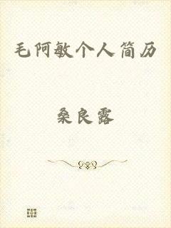 毛阿敏个人简历