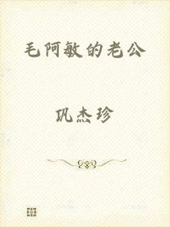毛阿敏的老公