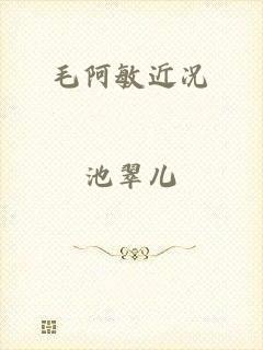 毛阿敏近况