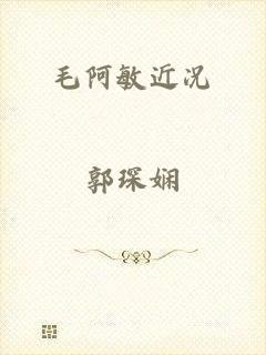 毛阿敏近况