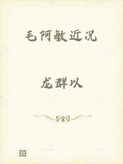 毛阿敏近况
