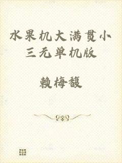 水果机大满贯小三元单机版
