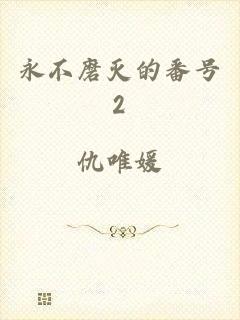 永不磨灭的番号2