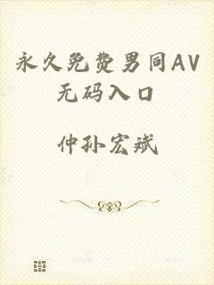 永久免费男同AV无码入口