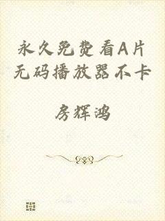 永久免费看A片无码播放器不卡