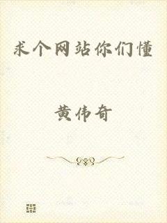 求个网站你们懂