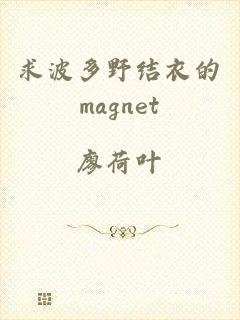 求波多野结衣的magnet