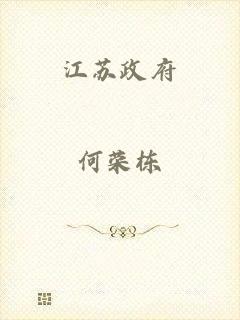 江苏政府