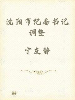 沈阳市纪委书记调整