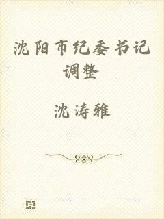 沈阳市纪委书记调整