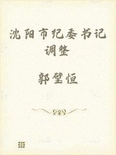 沈阳市纪委书记调整