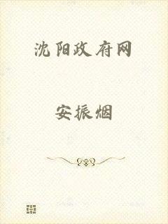 沈阳政府网