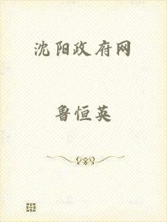 沈阳政府网