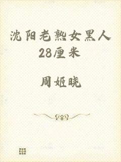 沈阳老熟女黑人28厘米