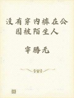 没有穿内裤在公园被陌生人