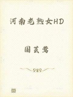 河南老熟女HD