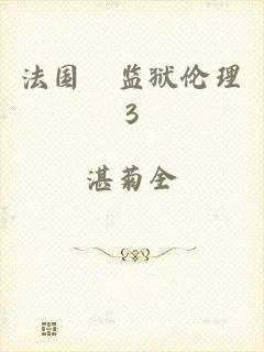 法国巜监狱伦理3