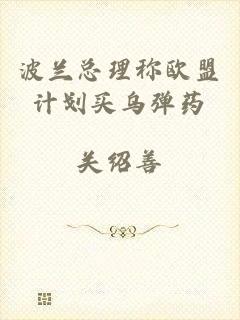 波兰总理称欧盟计划买乌弹药