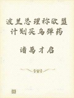 波兰总理称欧盟计划买乌弹药