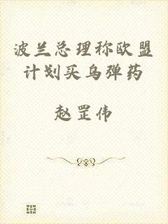 波兰总理称欧盟计划买乌弹药