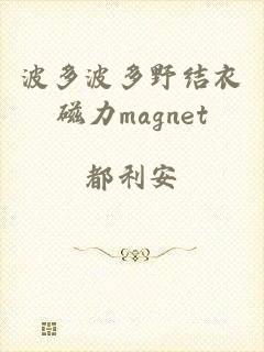 波多波多野结衣磁力magnet