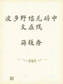 波多野结无码中文在线