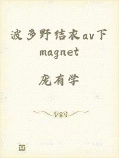 波多野结衣av下magnet