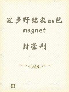 波多野结衣av包magnet