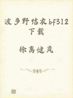 波多野结衣bf312下载