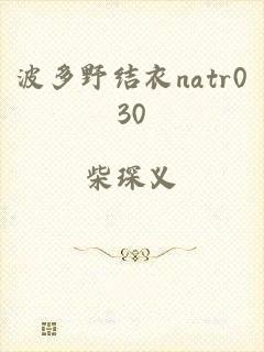 波多野结衣natr030