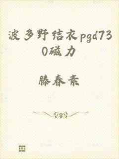 波多野结衣pgd730磁力