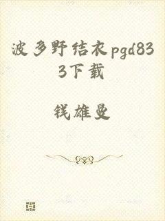 波多野结衣pgd833下载