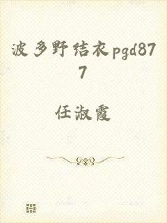 波多野结衣pgd877