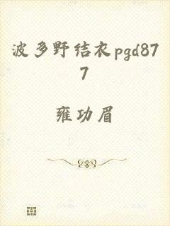 波多野结衣pgd877