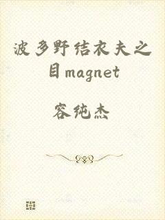 波多野结衣夫之目magnet